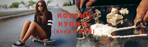 тгк Алзамай