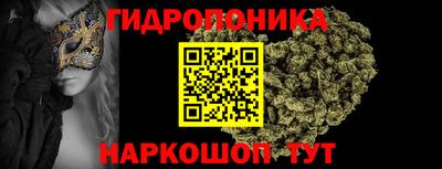 ALPHA PVP Обь