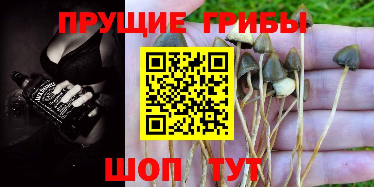 Псилоцибиновые грибы ЛСД  Вход с VPN  Урай 